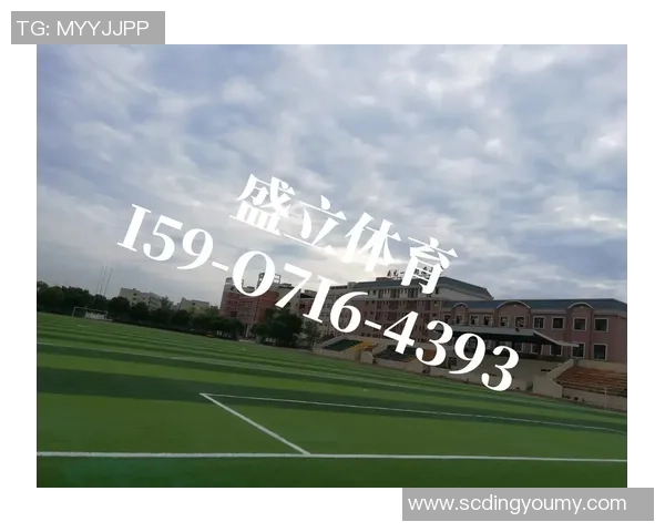 人工足球场草坪价格分析及影响因素探讨，助您选择合适的草坪类型